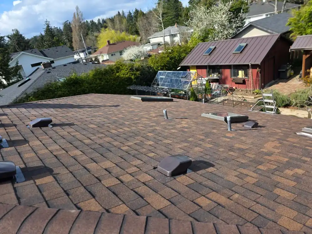 Rooftop with brown shingles and vents, looking out over houses, trees, and a garden with a greenhouse and a red shed.