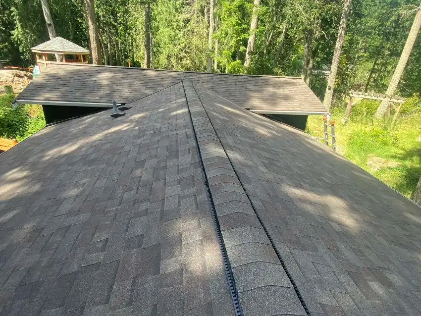 Brown shingled roof with a vent, surrounded by trees on a bright, sunny day.