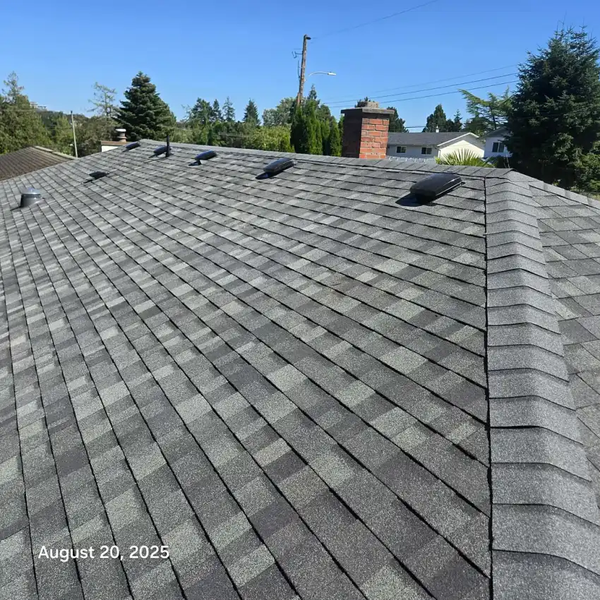 Grey shingle roof with several vents under a clear blue sky, with trees and houses in the background.